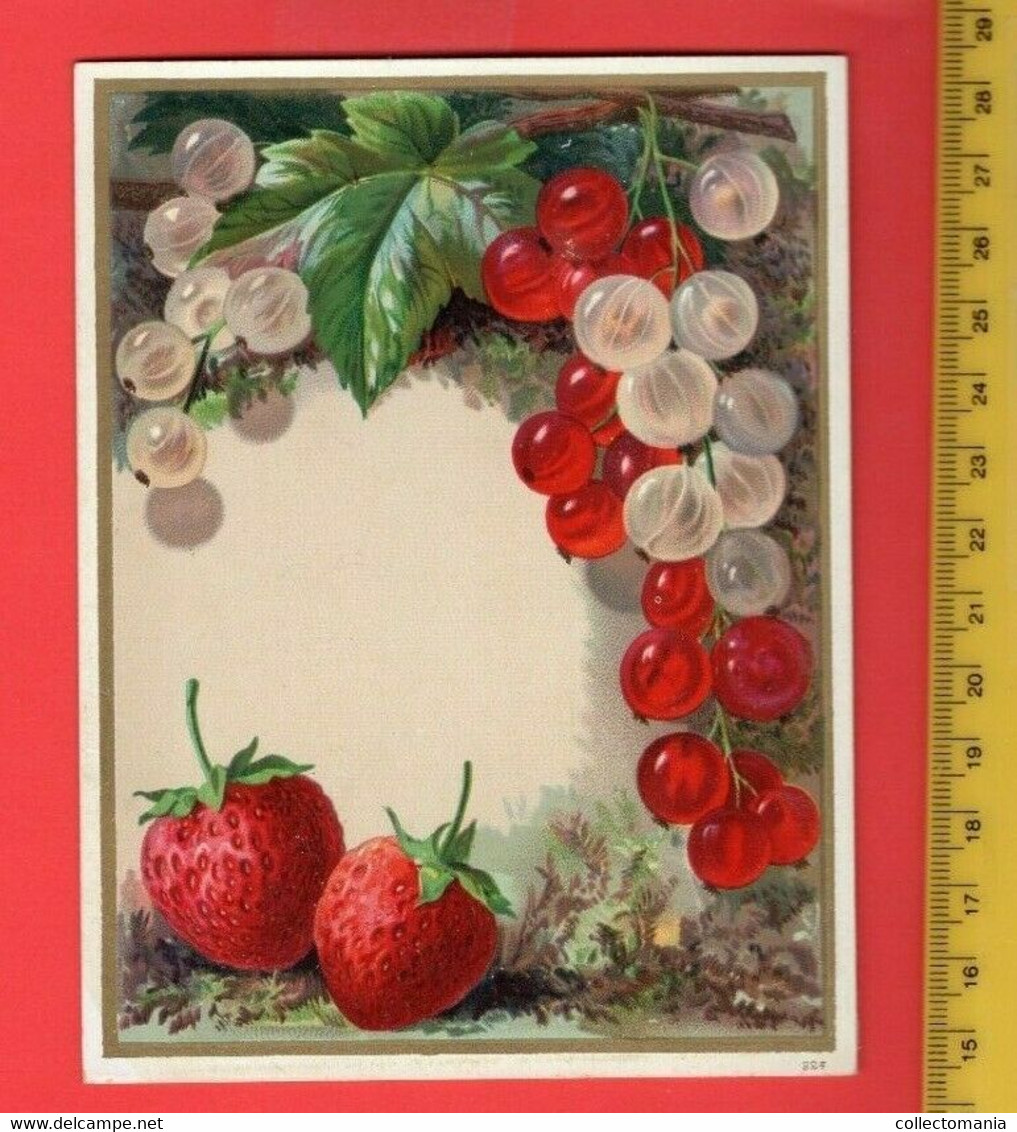 4 Litho C1880 : Aarbeien Pruimen : Strawberries, Prunes, Beries ... Ander Fruit  Serie Druk. 224 - Exc. 14 Cm X  11,4 - Menus
