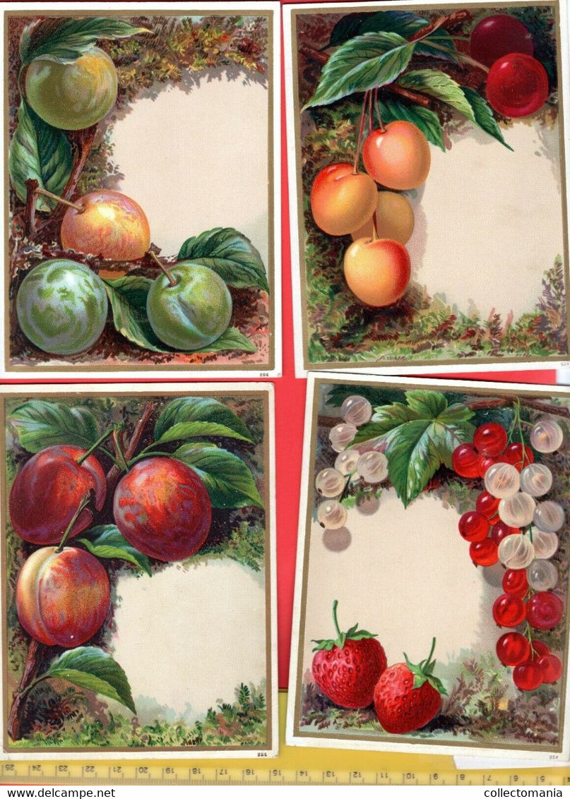 4 Litho C1880 : Aarbeien Pruimen : Strawberries, Prunes, Beries ... Ander Fruit  Serie Druk. 224 - Exc. 14 Cm X  11,4 - Menus