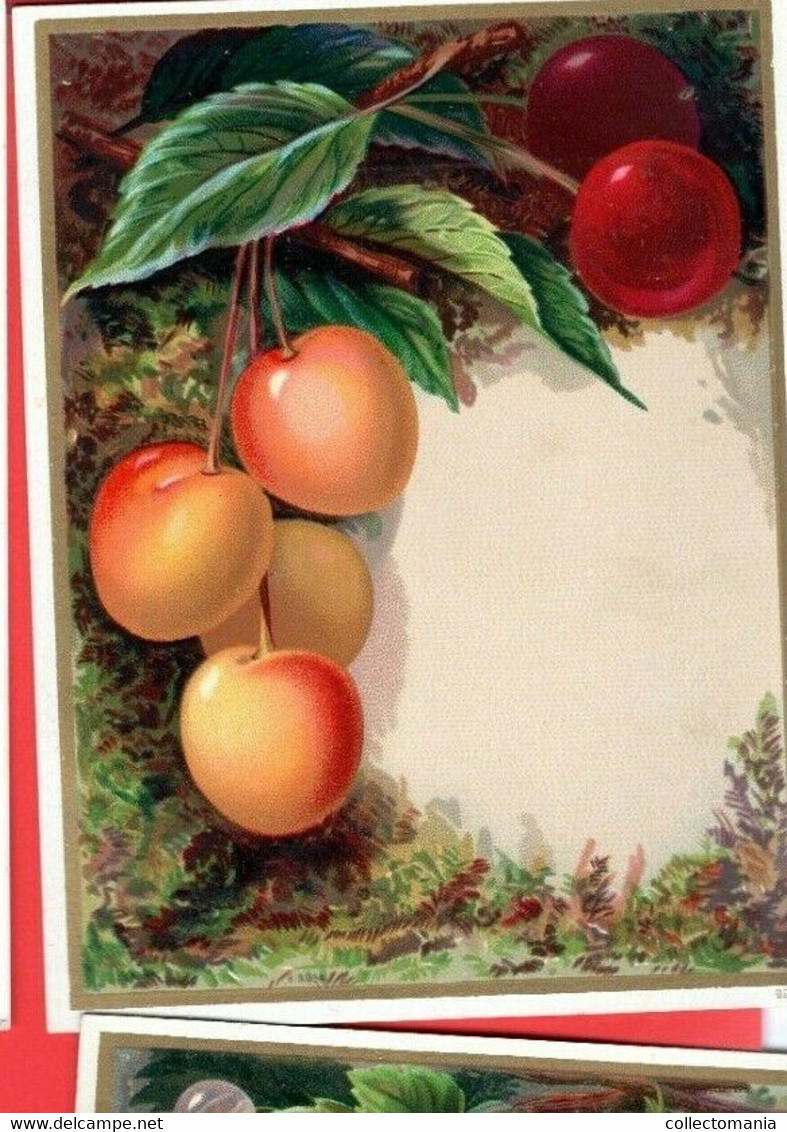 4 Litho C1880 : Aarbeien Pruimen : Strawberries, Prunes, Beries ... Ander Fruit  Serie Druk. 224 - Exc. 14 Cm X  11,4 - Menus