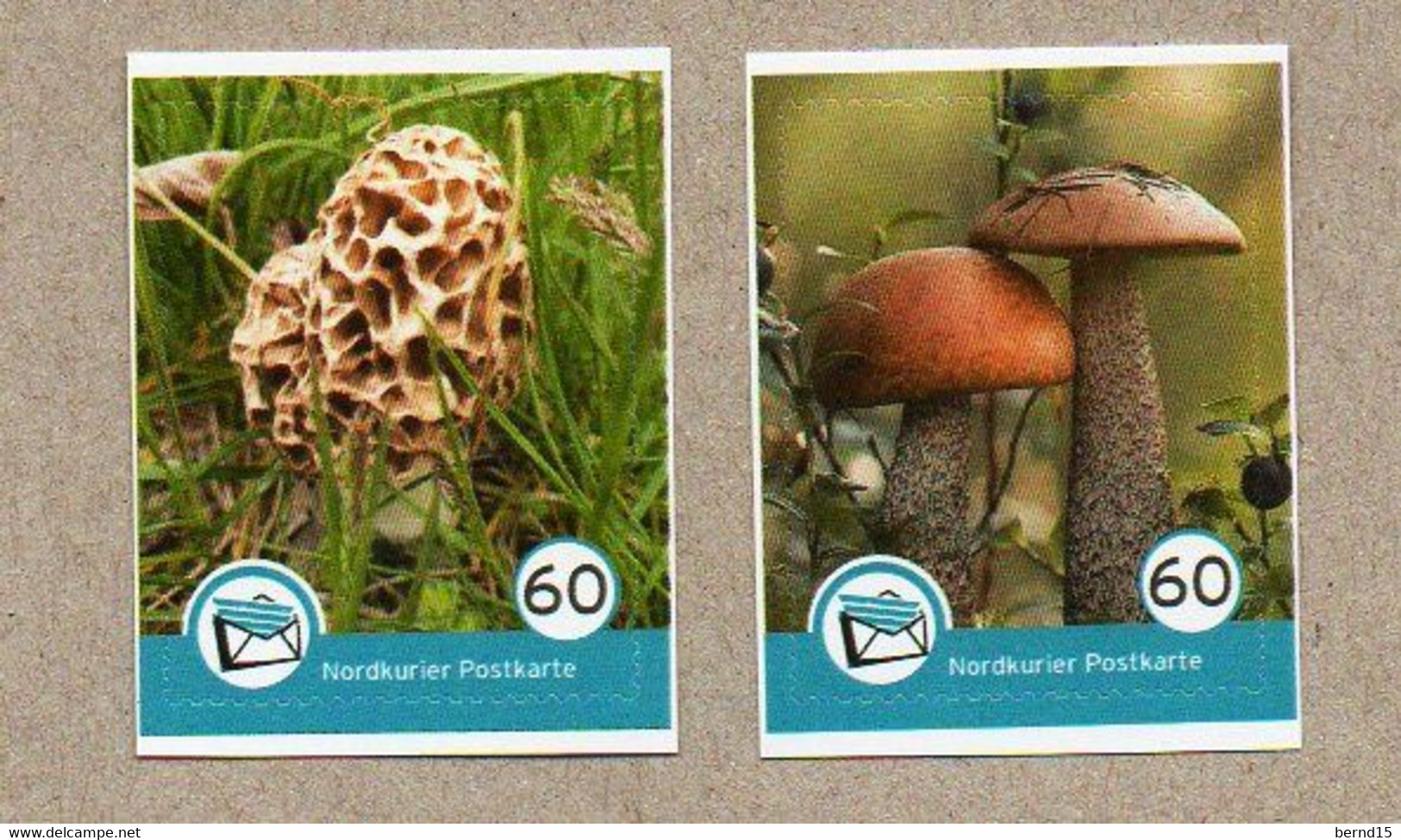 M01] BRD - Privatpost - Nordkurier - 2 Werte - Pilze Mushrooms Champignons Hongos - Privatpost