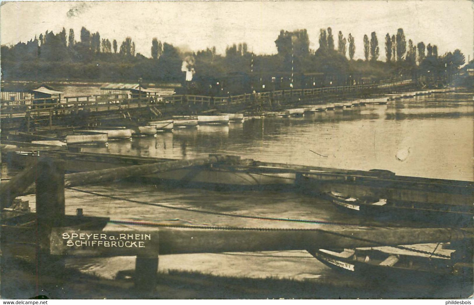 ALLEMAGNE  SPEYER (carte Photo) Pont Flottant - Speyer