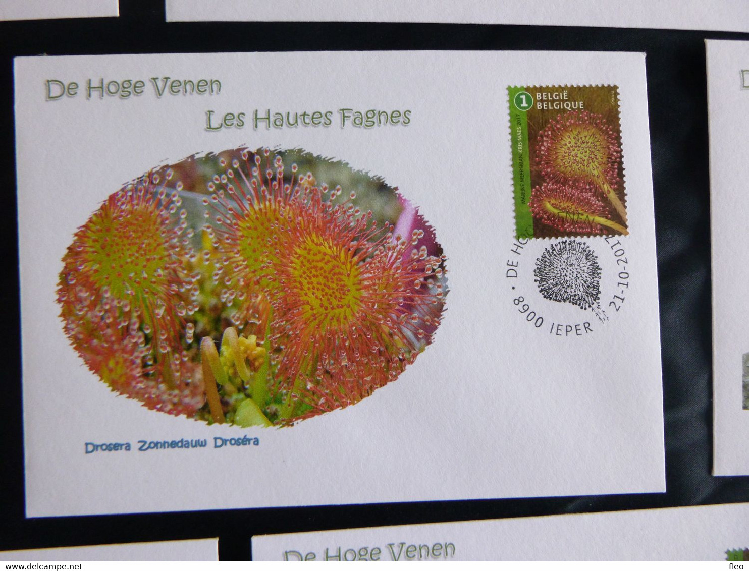 BELG.2017 (BL257) 4773/4782 (10 Stuks) FDC's (Ieper) : " Marijke Meersman "Hoge Venen - Les Hautes Fagnes" - 2011-2014