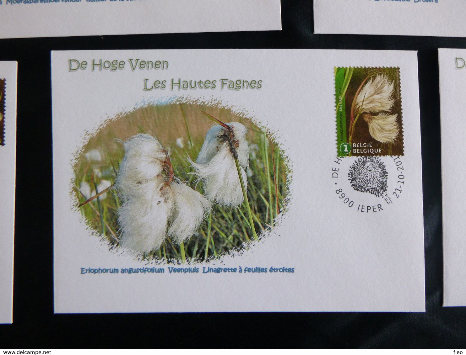 BELG.2017 (BL257) 4773/4782 (10 Stuks) FDC's (Ieper) : " Marijke Meersman "Hoge Venen - Les Hautes Fagnes" - 2011-2014