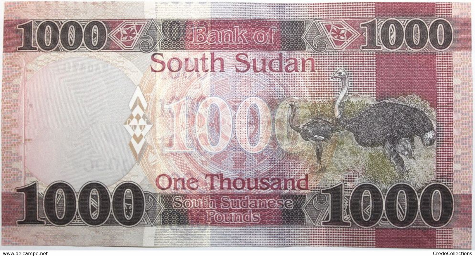 Soudan Du Sud - 1000 Pounds - 2020 - PICK NEW20 - NEUF - Südsudan