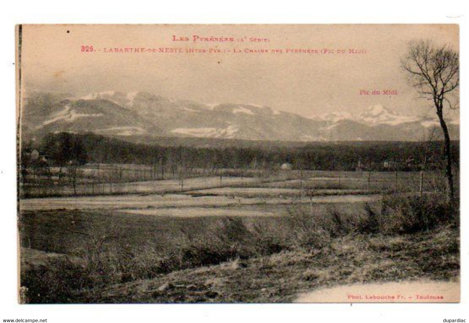 65 - Hautes Pyrénées / LABARTHE De NESTE -- La Chaîne Des Pyrénées (Pic Du Midi). - La Barthe De Neste