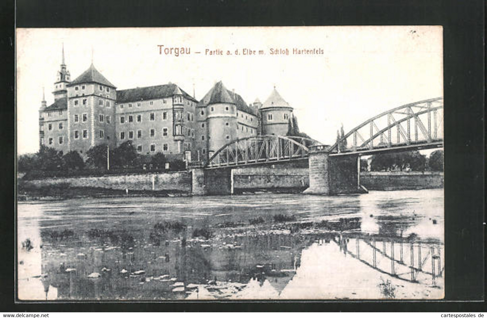 AK Torgau, Partie A. D. Elbe Mit Schloss Hartenfels - Torgau