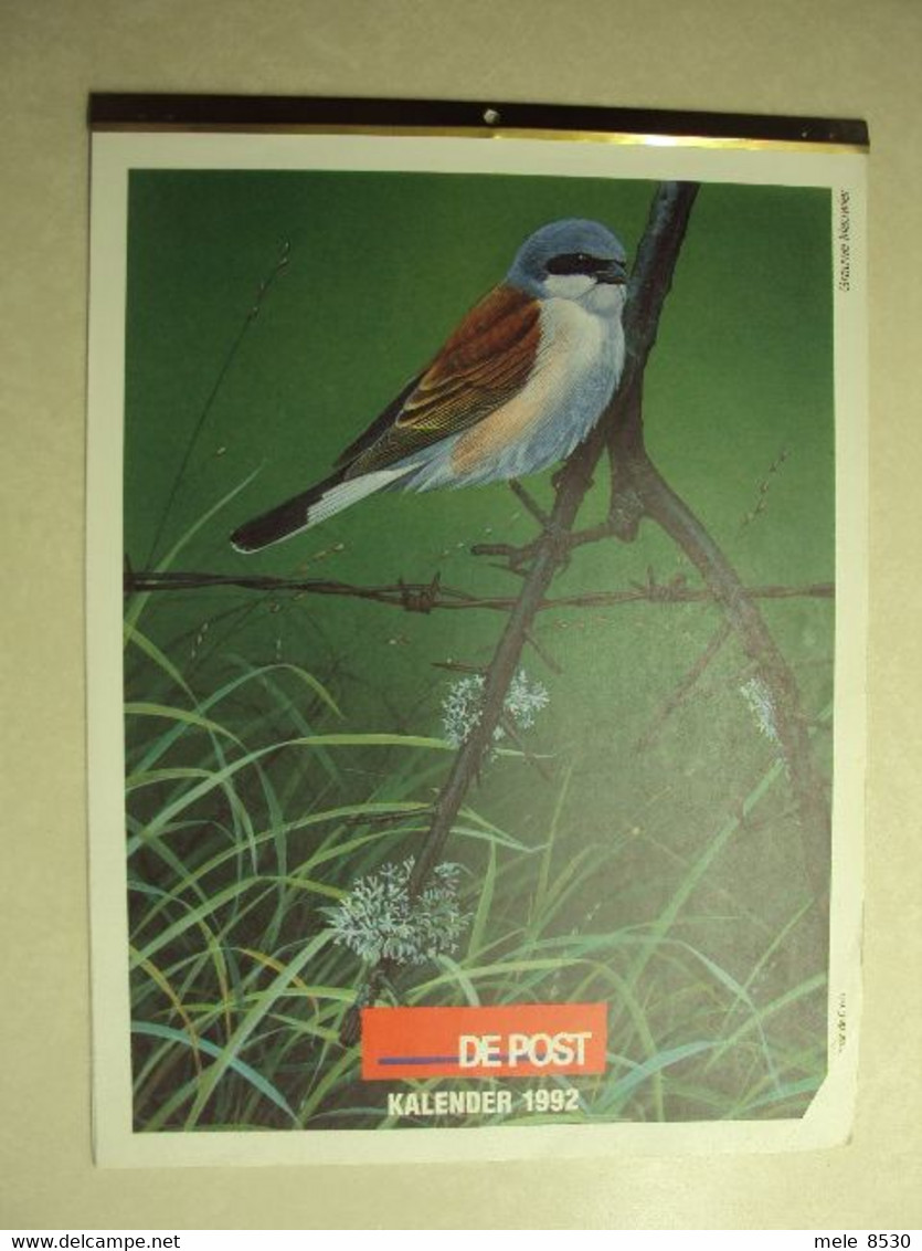 D 71 - POSTKALENDER 1992 - VOGELS - Grand Format : 1991-00