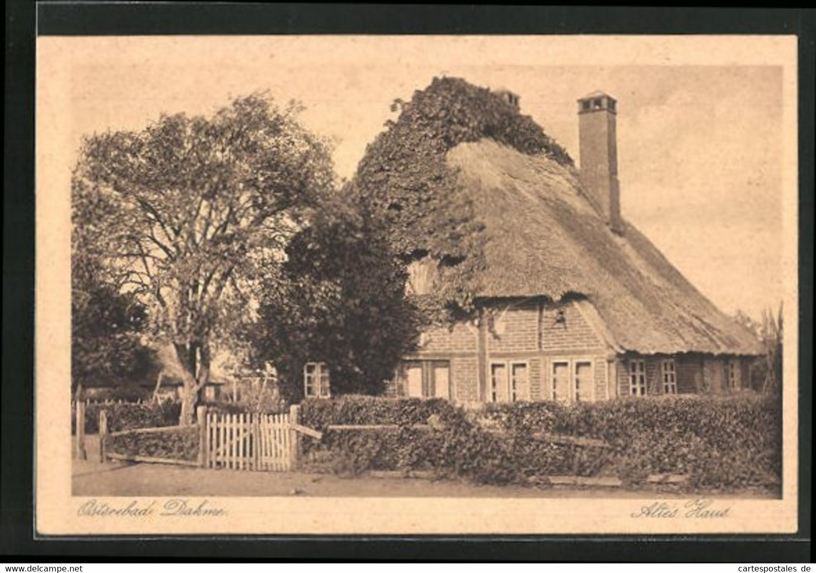 AK Dahme / Ostsee, Altes Haus - Dahme