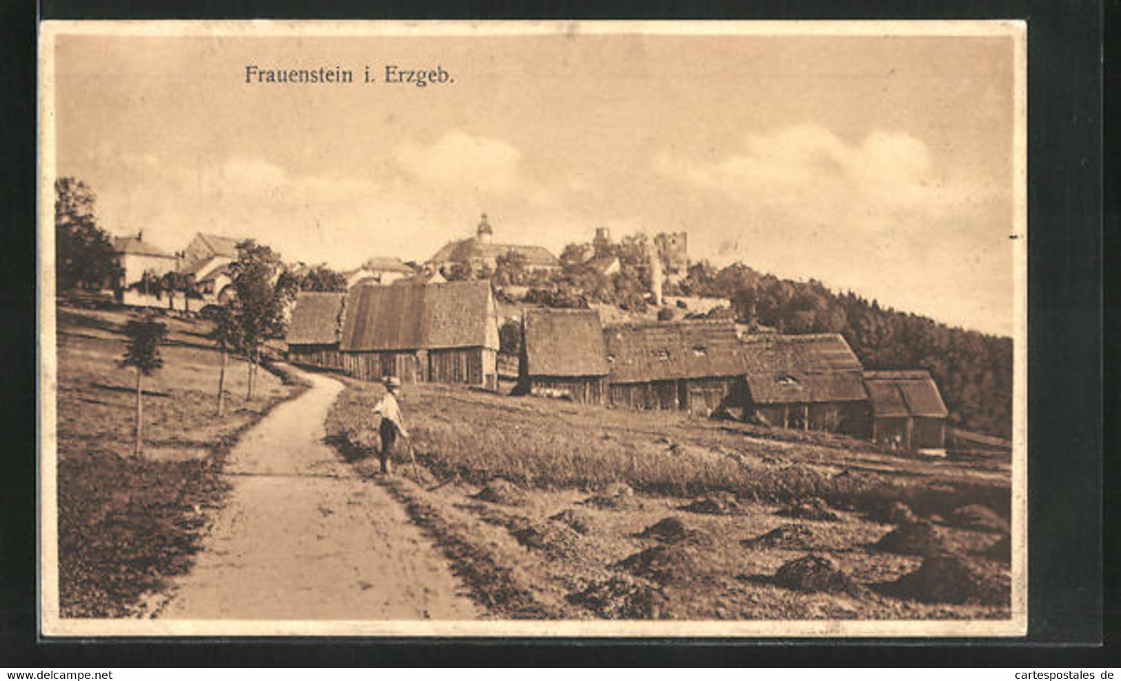 AK Frauenstein I. Erzgeb., Panorama - Frauenstein (Erzgeb.)