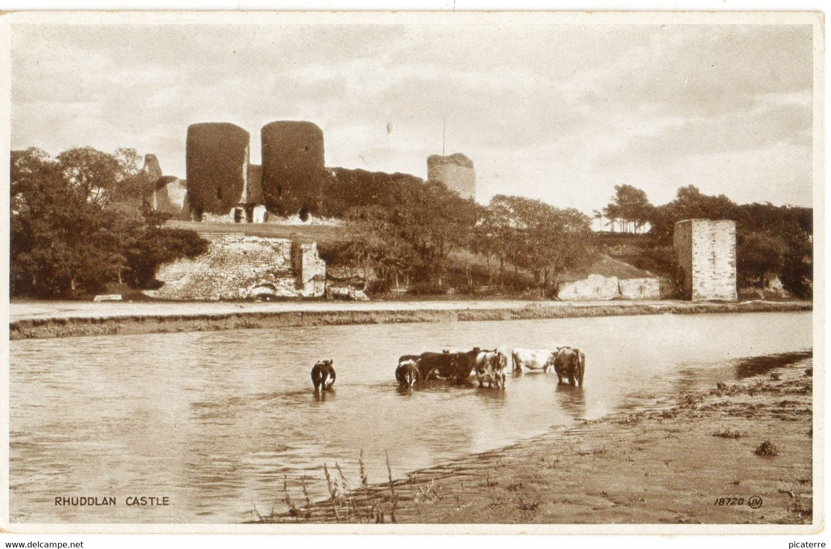 Rhuddlan Castle- Cattle Bathing In The River (Valentine's "Photo Brown" 18720) - Denbighshire