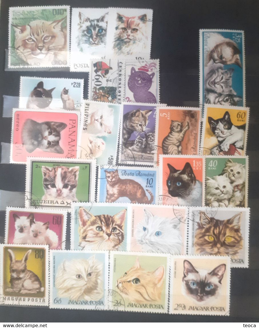 Cats Felinas Mammals Cats  Lot  Stamps Used 23 Stamps - Sonstige & Ohne Zuordnung