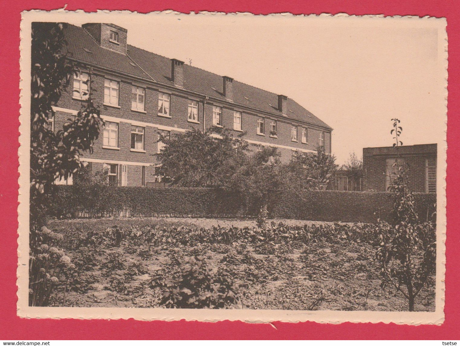 Ath - Clinique-Maternié Des Soeurs De Charité - Une Façade Vue Du Jardin ( Voir Verso ) - Ath