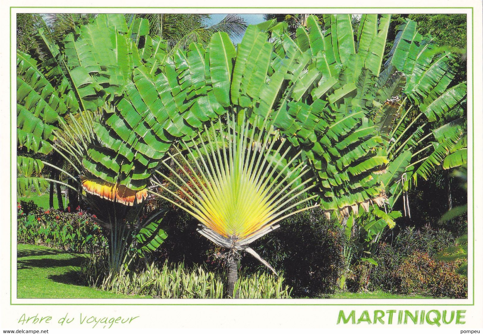 QN - Lote 23 Cartes   - MARTINIQUE - 5 - 99 Cartes