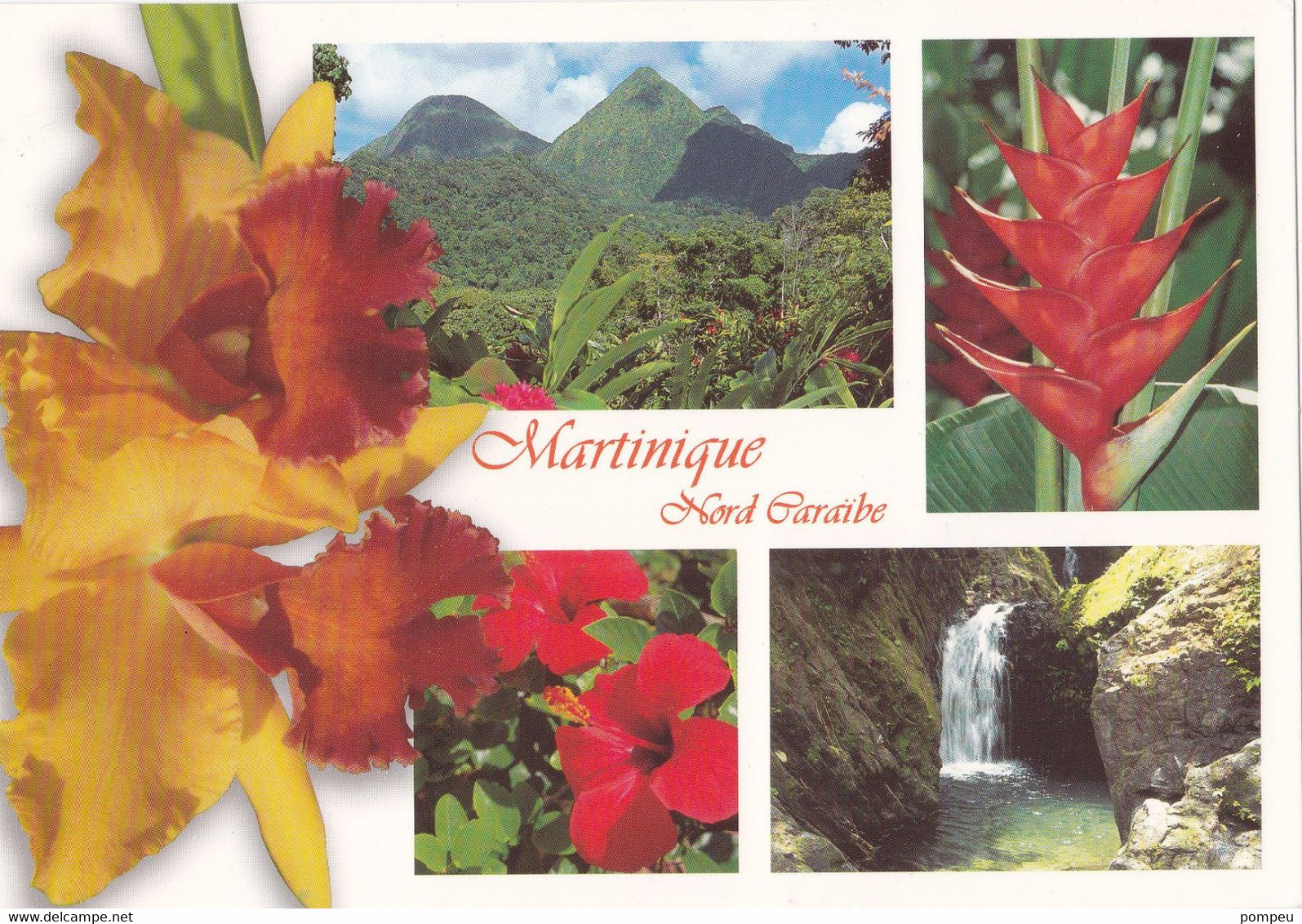 QN - Lote 23 Cartes   - MARTINIQUE