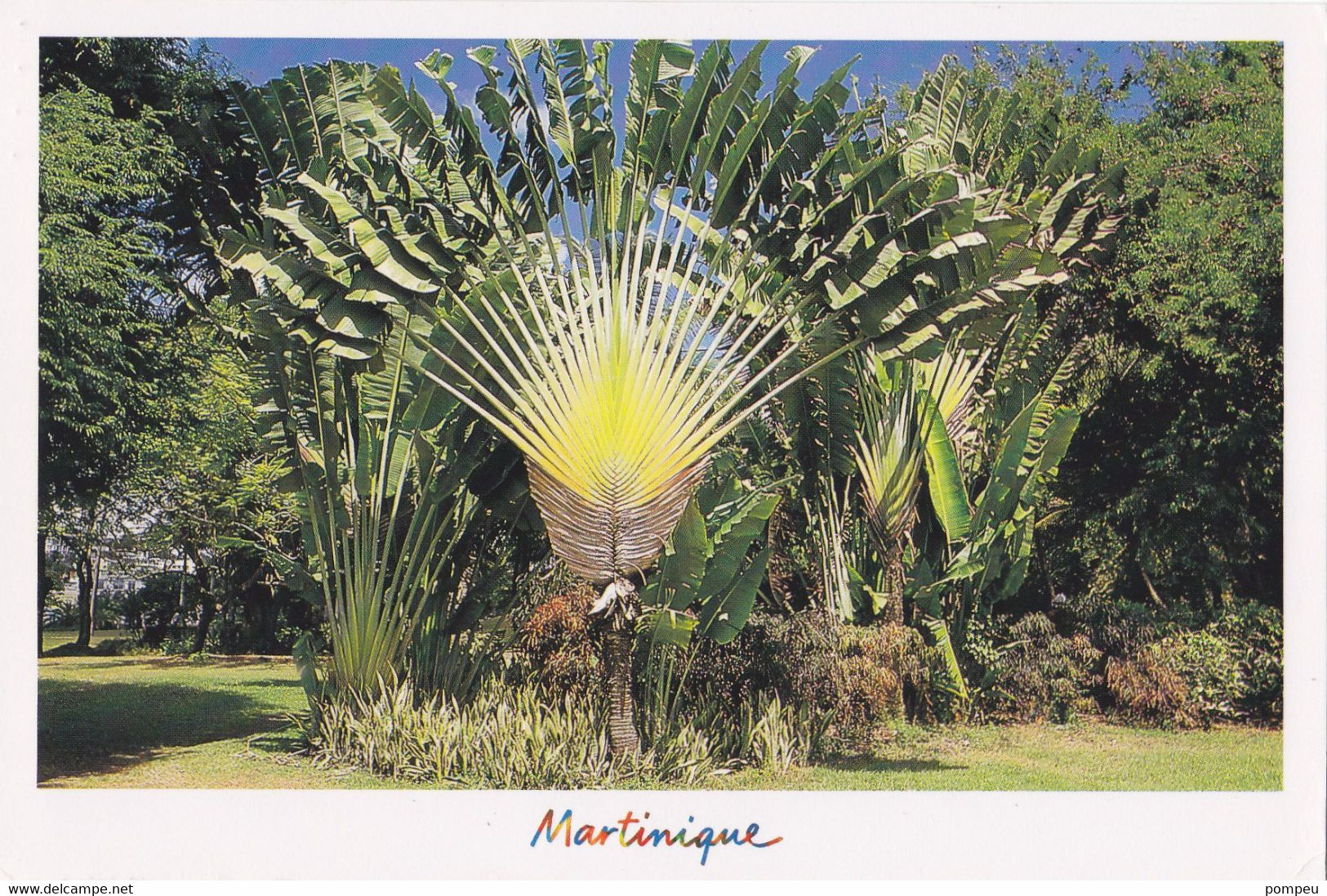 QN - Lote 23 Cartes   - MARTINIQUE