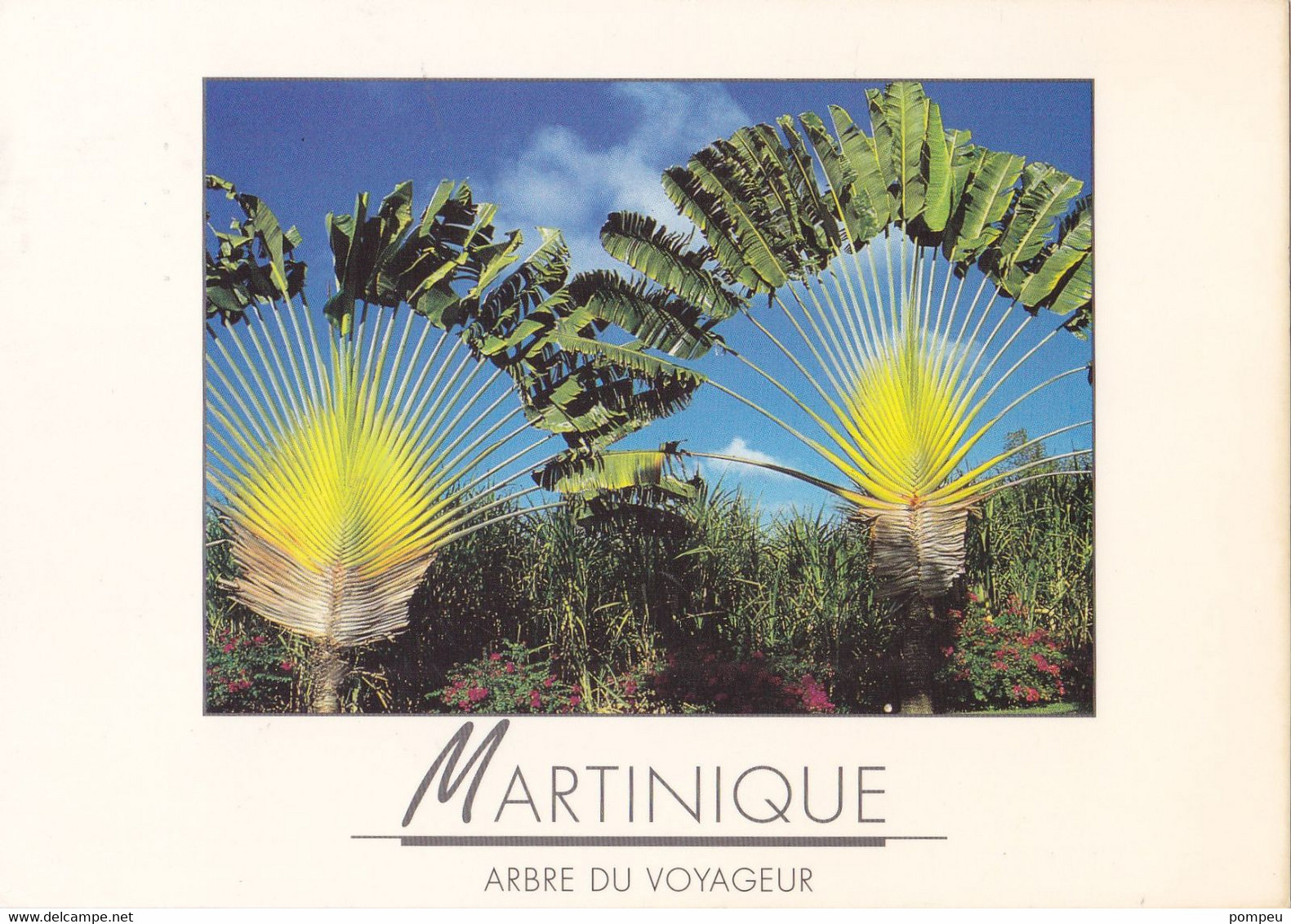 QN - Lote 23 Cartes   - MARTINIQUE