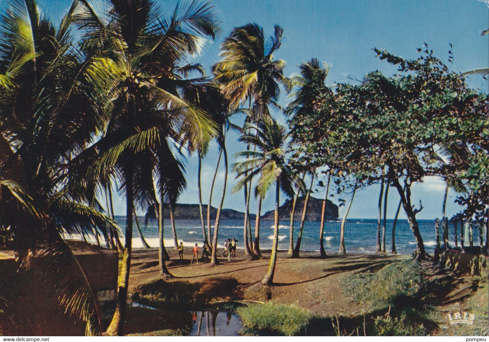 QN - Lote 23 Cartes   - MARTINIQUE