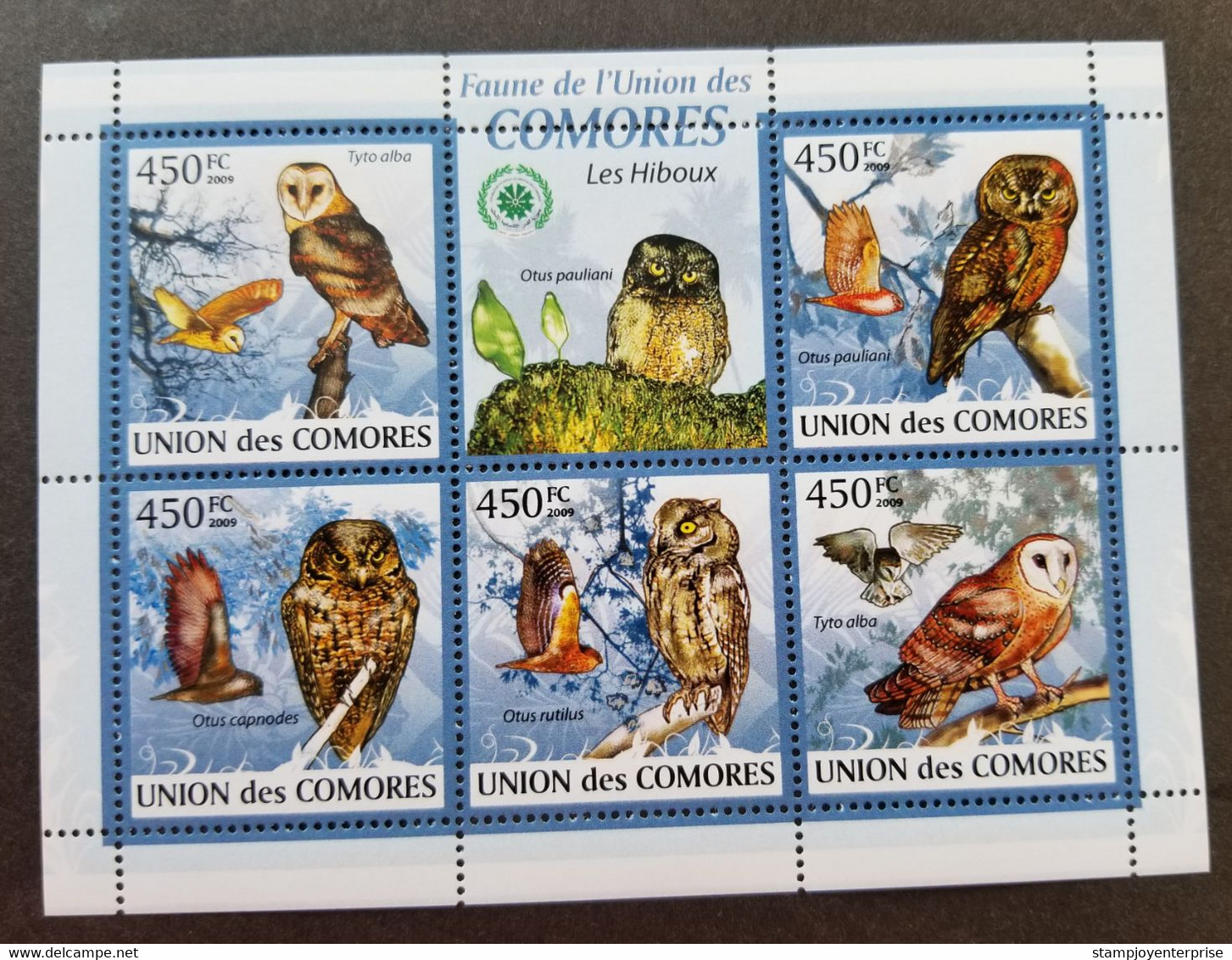 Comoros Bird Of Prey Owls 2009 Fauna Owl Birds (ms MNH - Comores (1975-...)