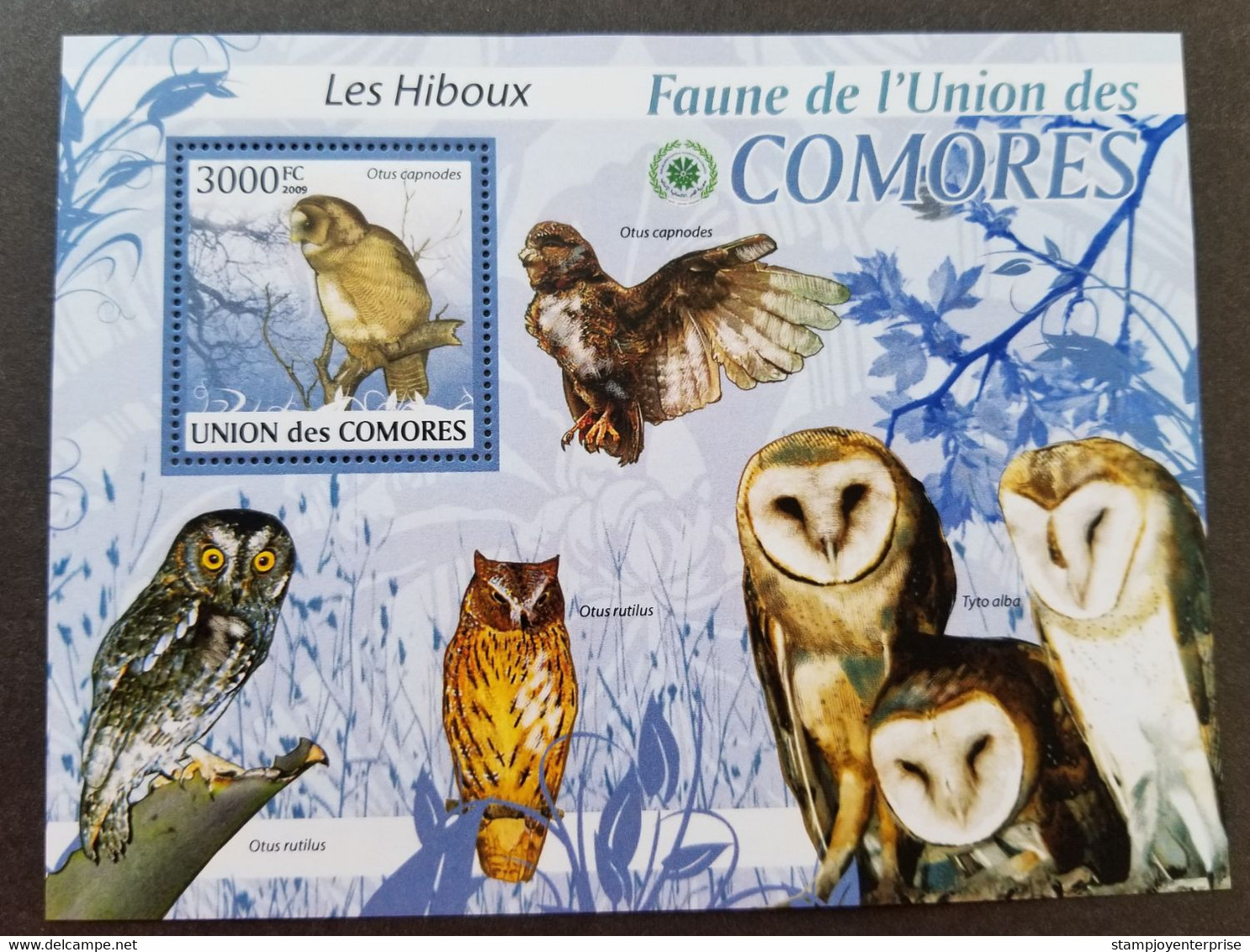 Comoros Bird Of Prey Owls 2009 Fauna Owl Birds (ms) MNH - Comores (1975-...)