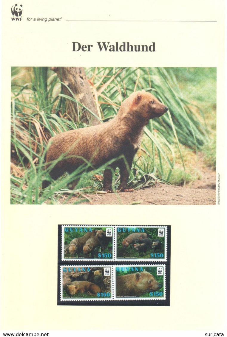 Guyana 2011 - WWF Der Waldhund - Komplettes Kapitel Postfrisch MK FDC - Other & Unclassified