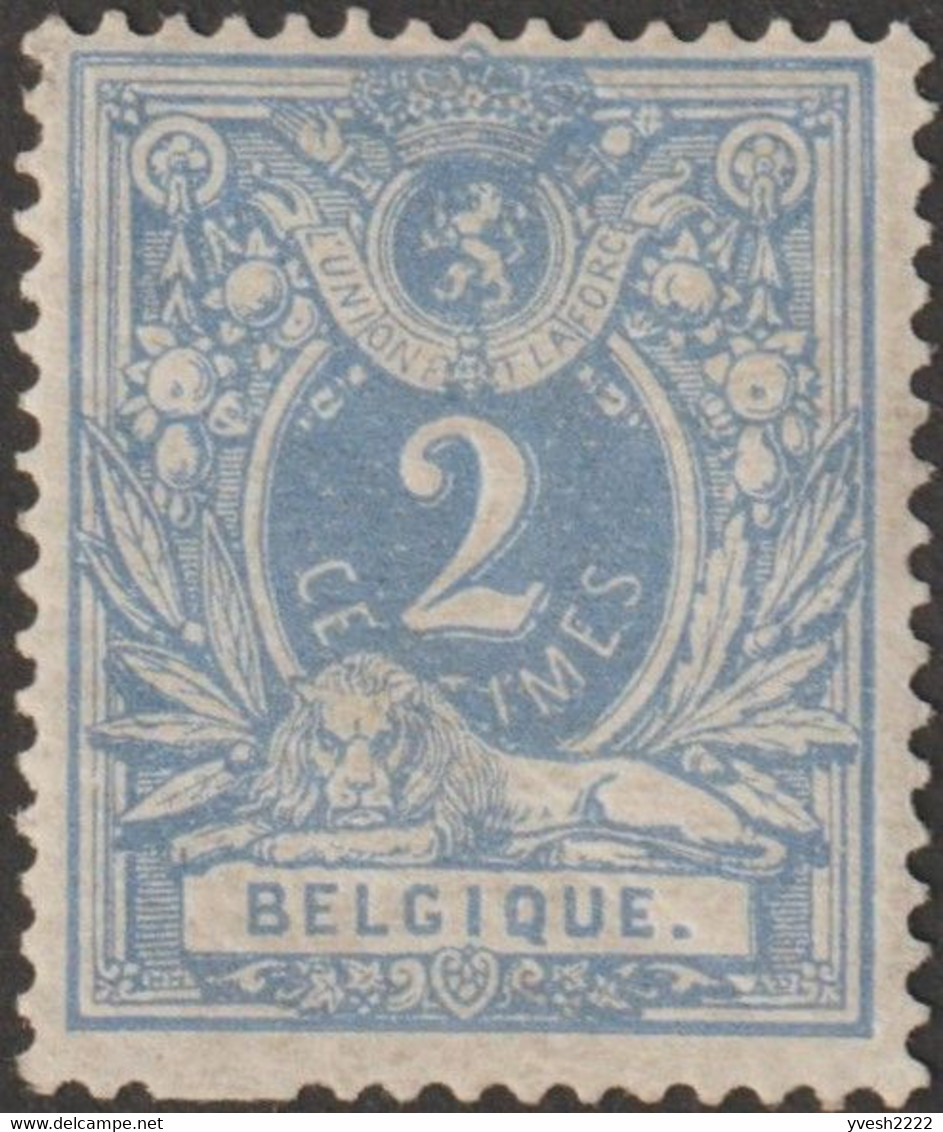 Belgique 1869 COB / Y&T 27. (27 C Crayeux) Neuf Avec Charnière. Curiosité, Absence Partielle De Dentelure. Neuf, TB - Andere & Zonder Classificatie