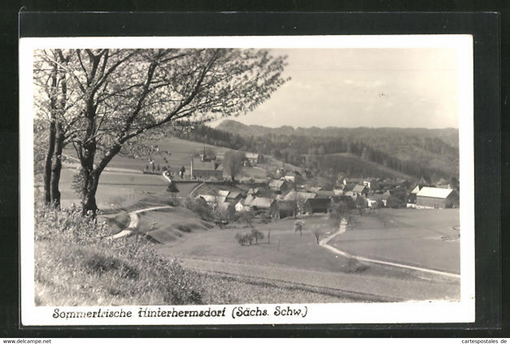 AK Hinterhermsdorf, Panoramablick Zum Ort - Hinterhermsdorf