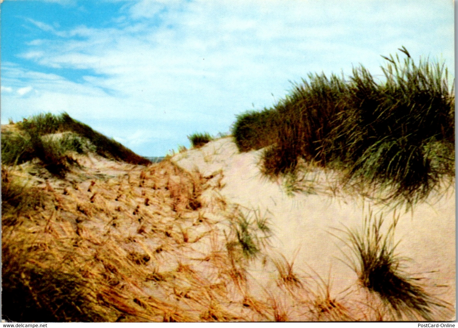 13249 - Deutschland - St. Peter Ording , Dünen - Gelaufen 1974 - St. Peter-Ording