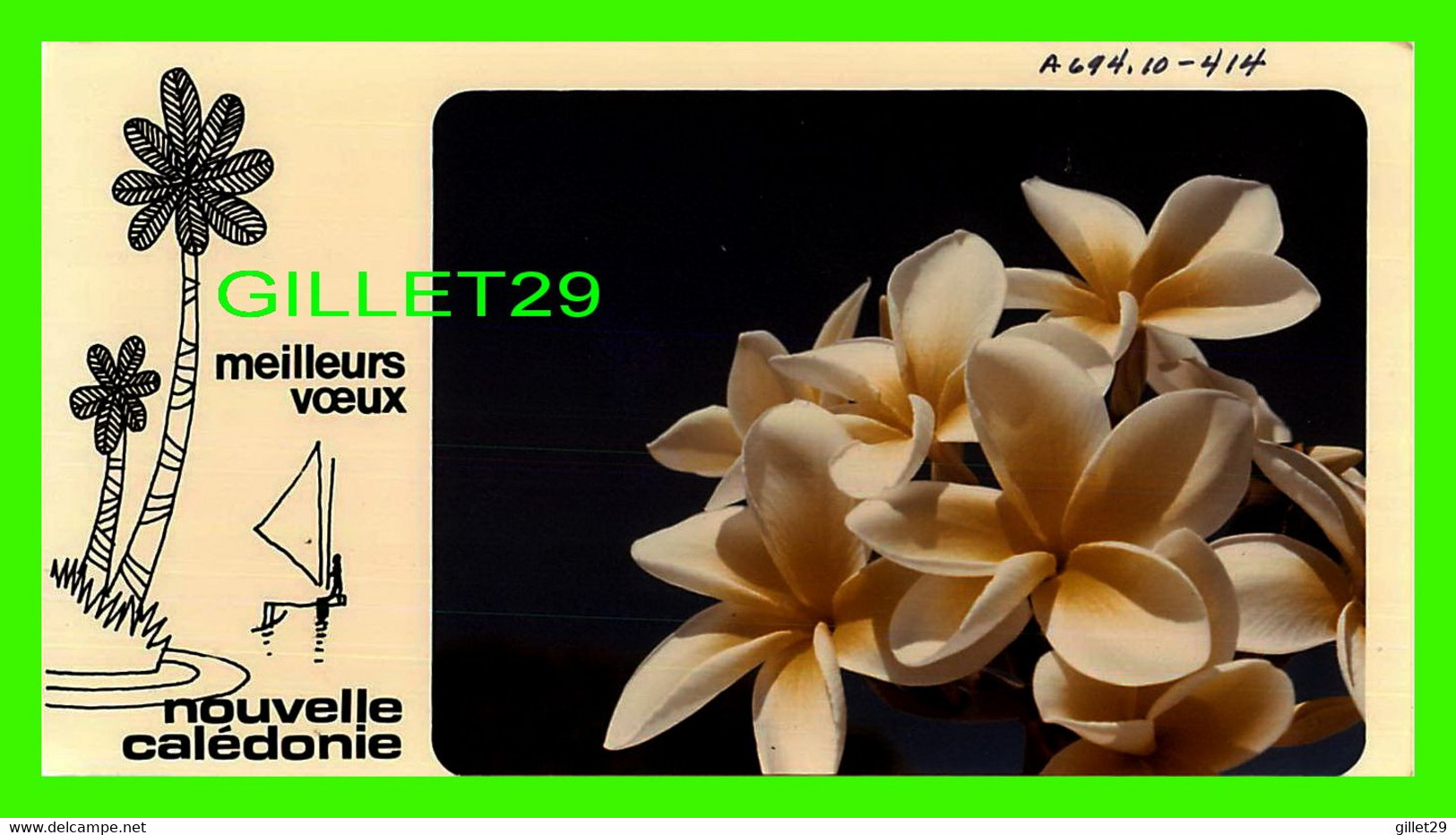 NOUVELLE CALÉDONIE - FLEURS - MEILLEURS VOEUX - ÉCRITE EN 1982 - DIMENSION 9.5 X 18 Cm - - New Caledonia