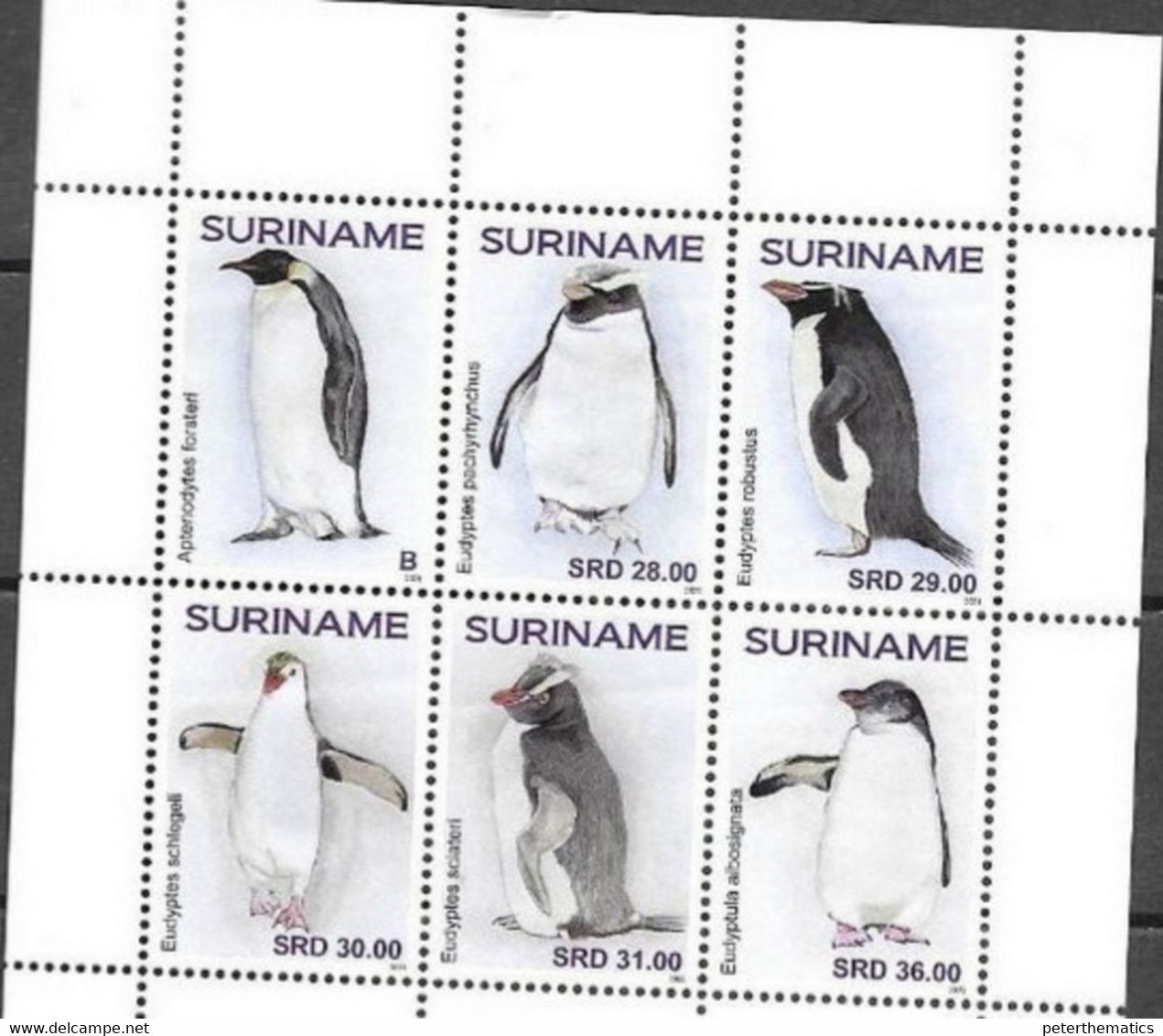 SURINAME, 2021, MNH, BIRDS, PENGUINS,6v - Pinguine