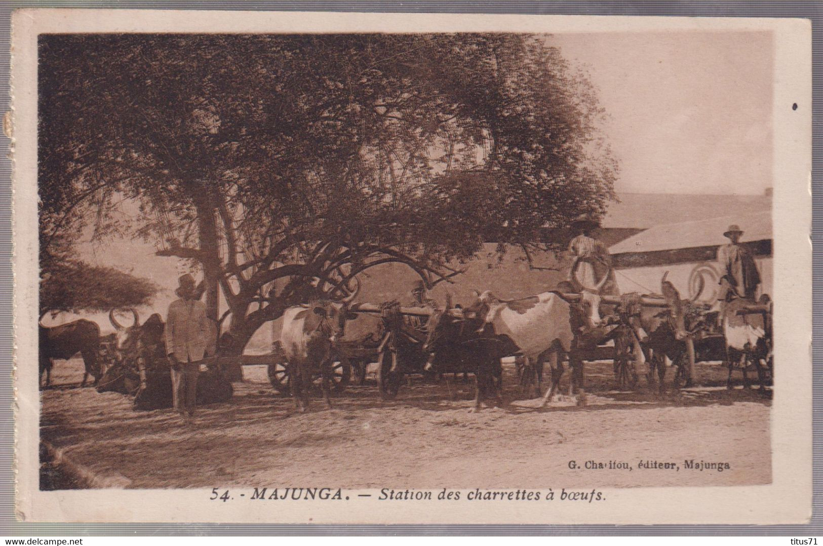 CPA Coloniale - Madagascar - Majunga - Station Des Charrettes à Boeufs - Circulée - Madagascar