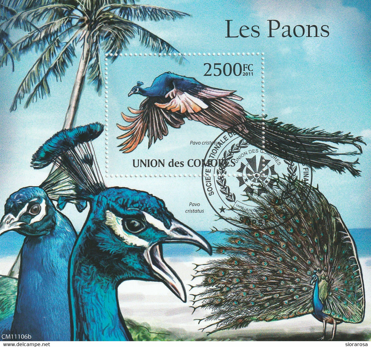 Isole Comore 2011 - Birds - Pavoni - Paons - Peacocks - CTO - Peacocks