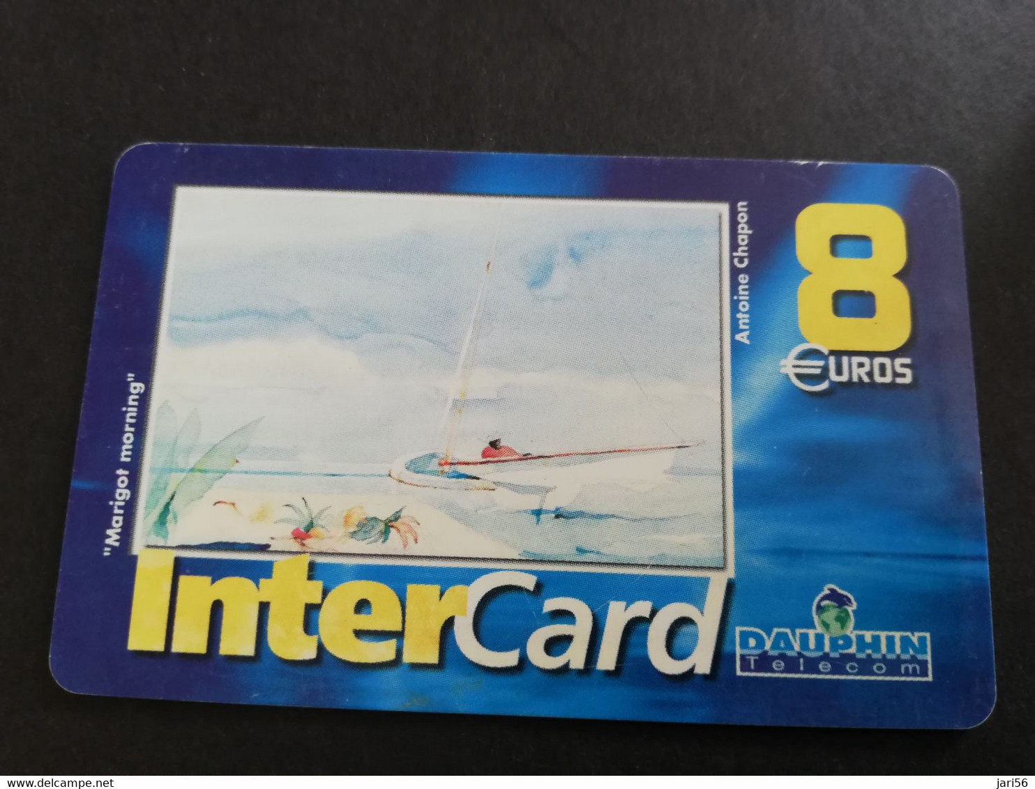 Caribbean Phonecard St Martin French INTERCARD  8 EURO  NO 049  **5833** - Antilles (Françaises)