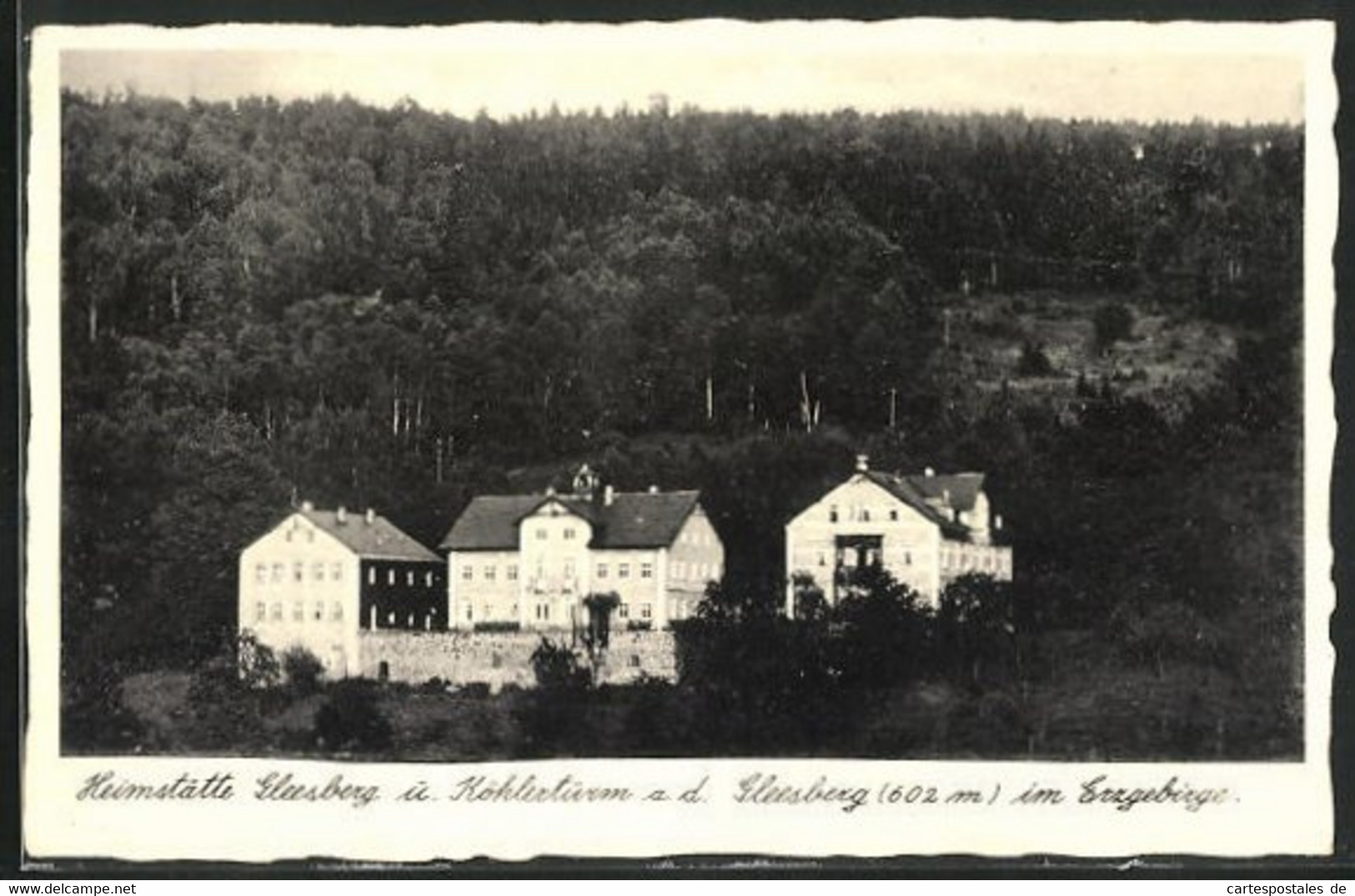 AK Schneeberg, Heimstätte Gleesberg Und Köhlerturm Auf Dem Gleesberg - Schneeberg