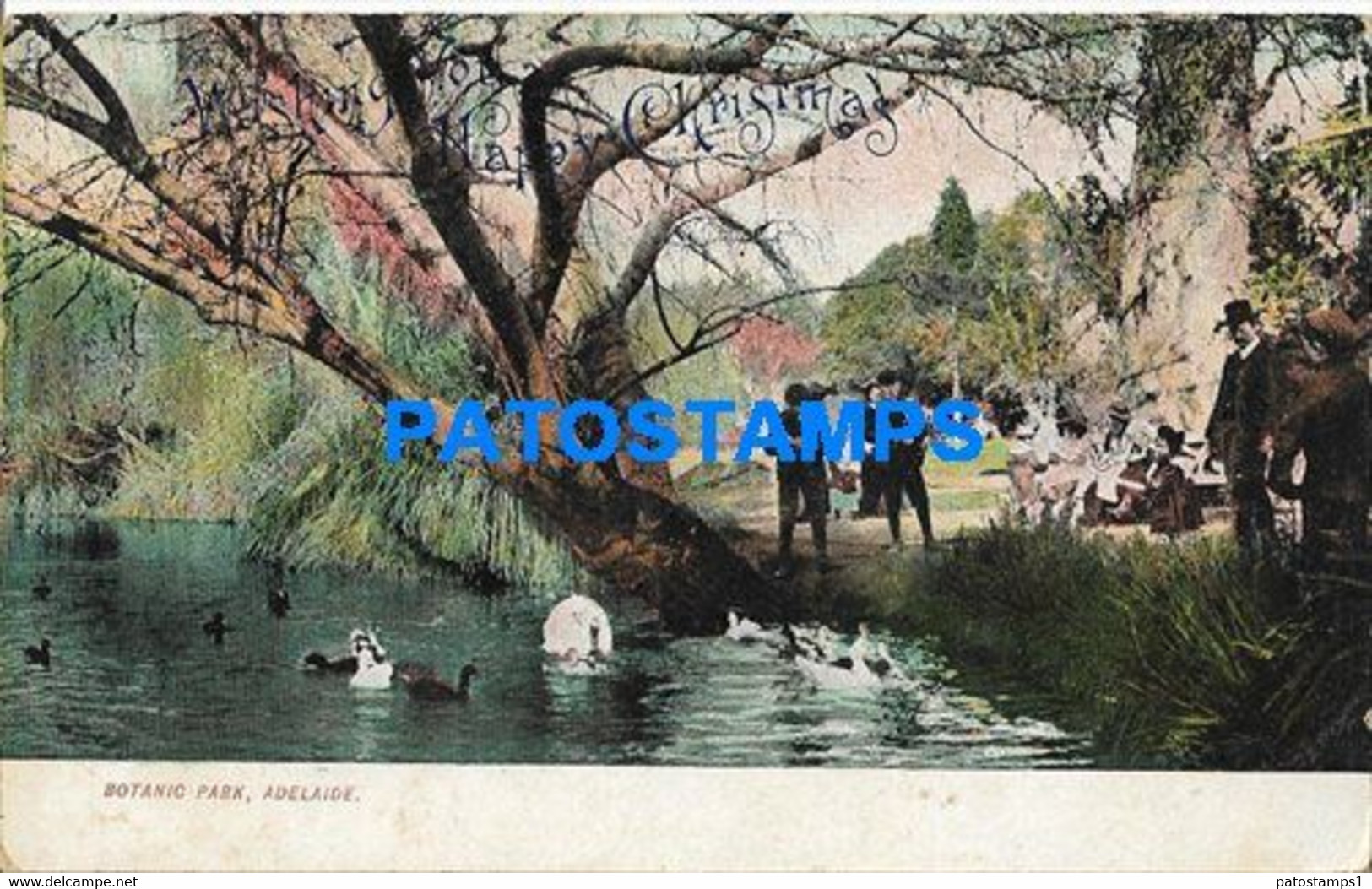 164947 SOUTH AUSTRALIA ADELAIDE BOTANIC PARK POSTAL POSTCARD - Other & Unclassified