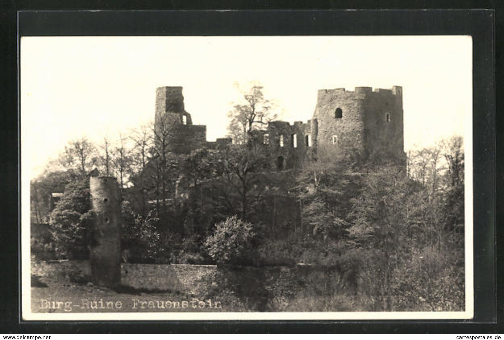 AK Frauenstein, Blick Zur Burg-Ruine - Frauenstein (Erzgeb.)