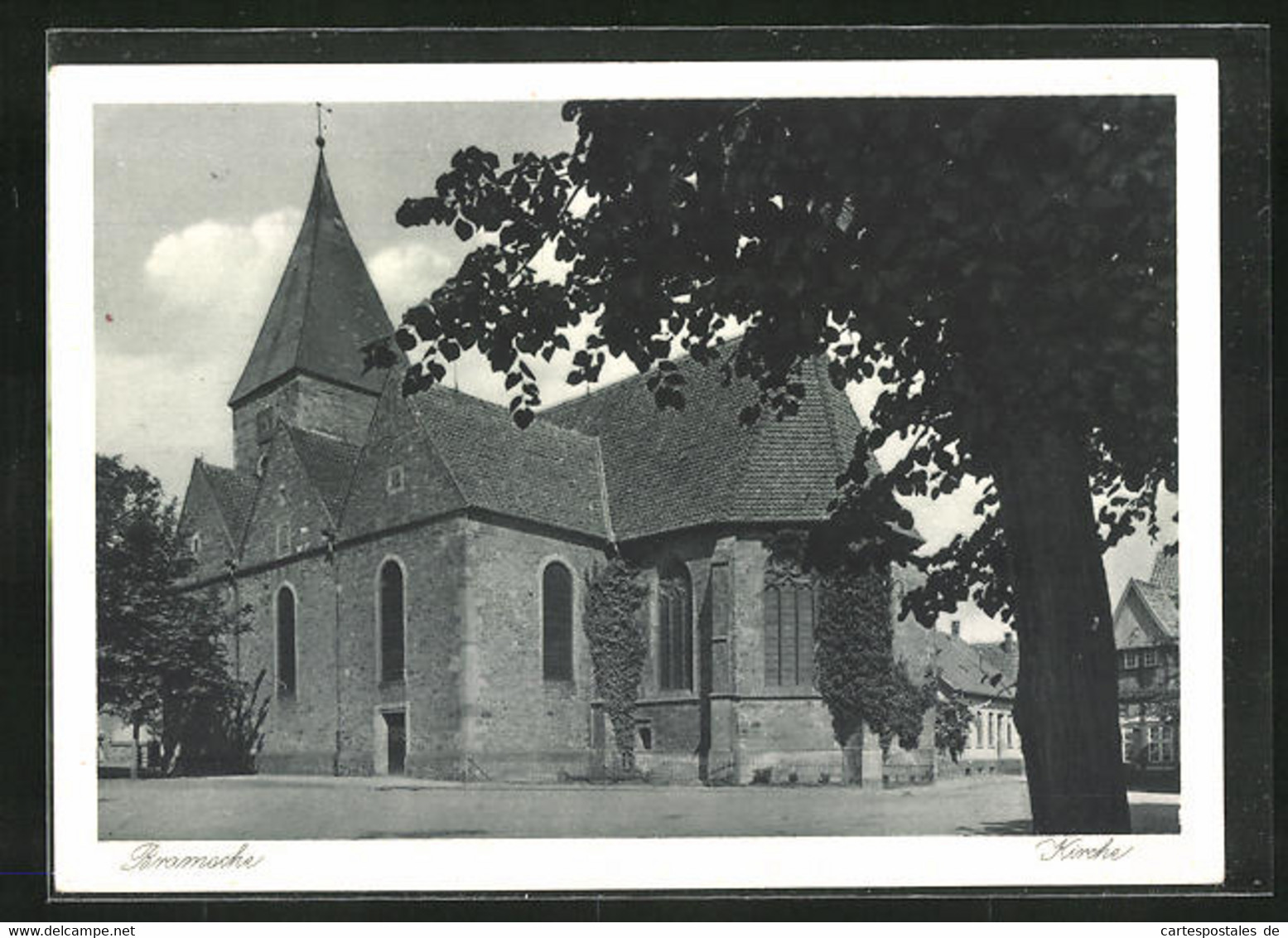 AK Bramsche, Kirche Mit Baum - Bramsche