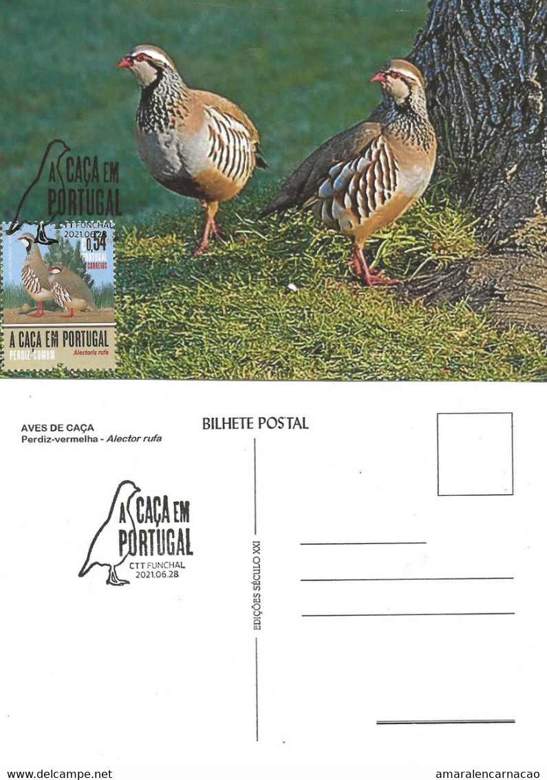 CARTE MAXIMUM- MAXICARD - CARTOLINA MAXIMA- MAXIMUM CARD - PORTUGAL (MADEIRA) - OISEAUX - PERDRIX - Alector Rufa - Grey Partridge