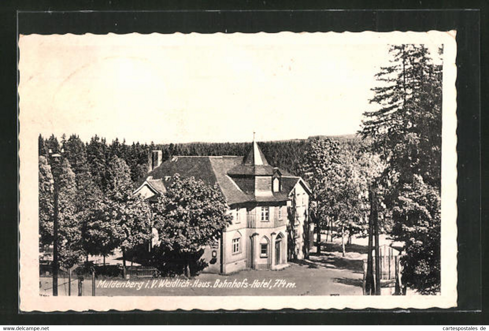 AK Muldenberg / Vogtland, Hotel Weidlichhaus - Vogtland