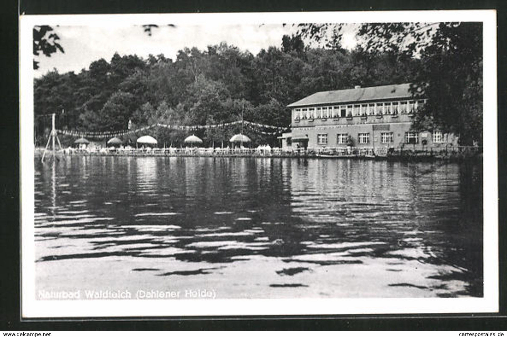 AK Dahlen, Naturbad Waldteich - Dahlen