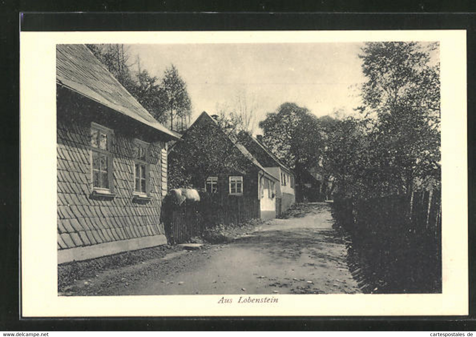 AK Lobenstein, Ortspartie Mit Häusern - Lobenstein