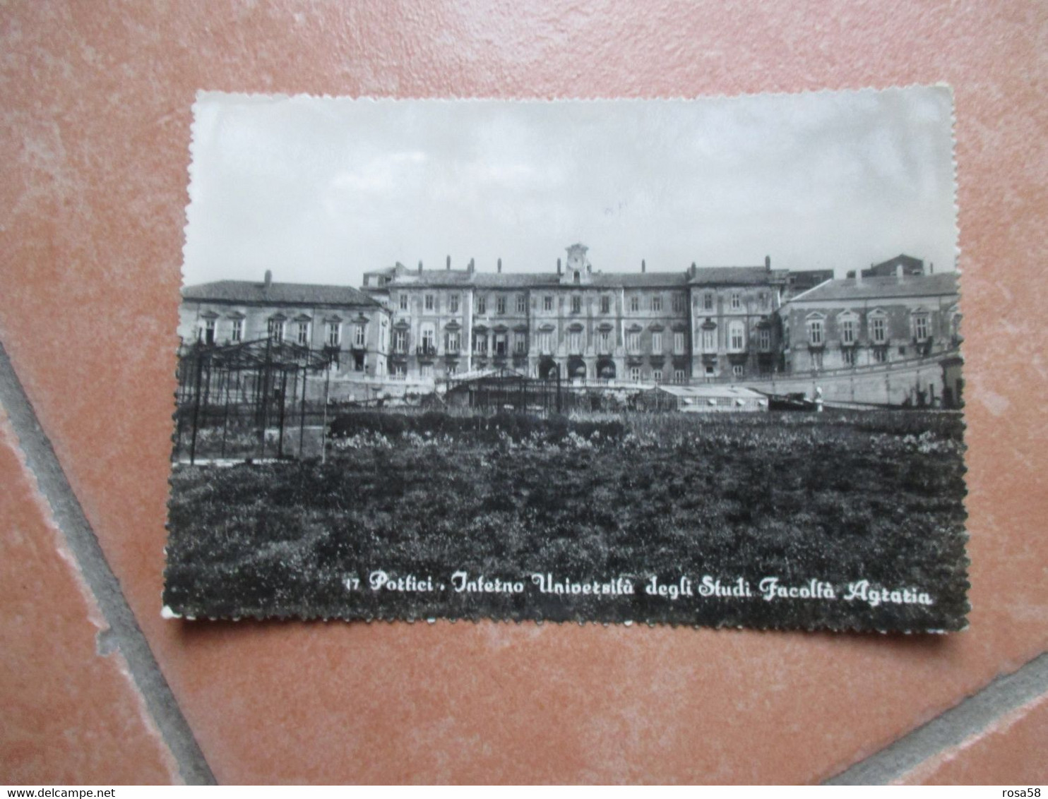 1950 Interno Università Degli Studi Facoltà Agraria Francobollo Uno Asportato - Portici