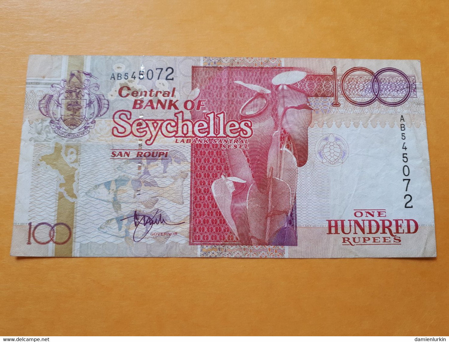 SEYCHELLES 100 RUPEES 1998-2010 - Seychellen