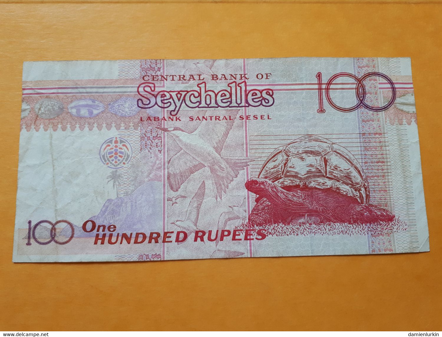 SEYCHELLES 100 RUPEES 1998-2010 - Seychellen