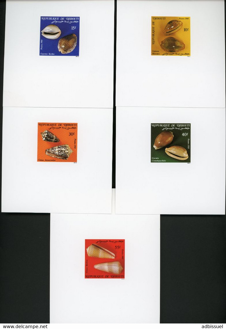DJIBOUTI 5 Epreuves De Luxe Sur Papier Glacé  N° 609 à 613 "Coquillages". Série Complète TB - Conchas