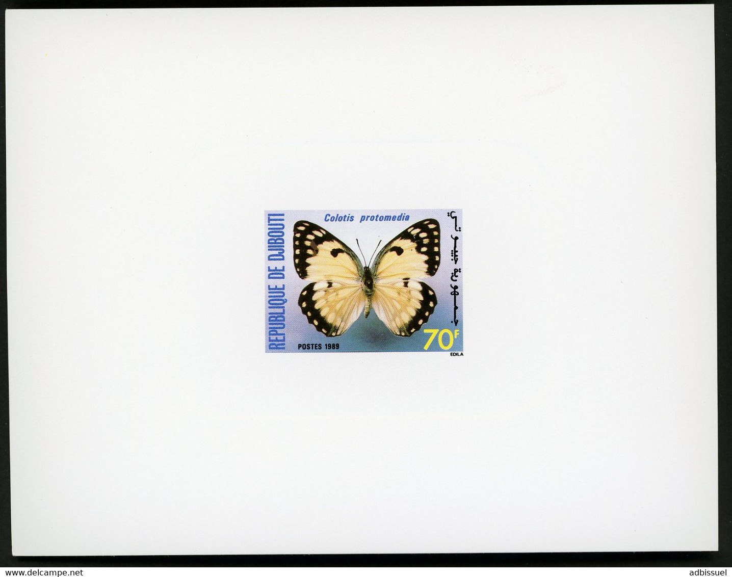 DJIBOUTI Epreuve De Luxe Sur Papier Glacé N° 649 Papillon COLOTIS PROTOMEDIA 1989. TB - Vlinders