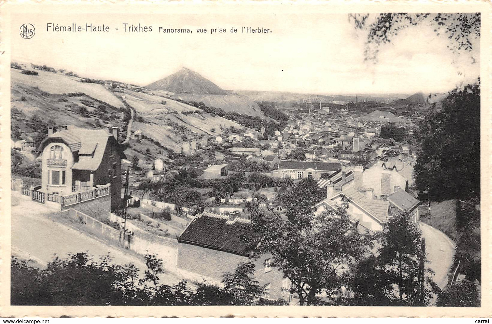 FLEMALLE-HAUTE - Trixhes - Panorama, Vue Prise De L'Herbier. - Flémalle