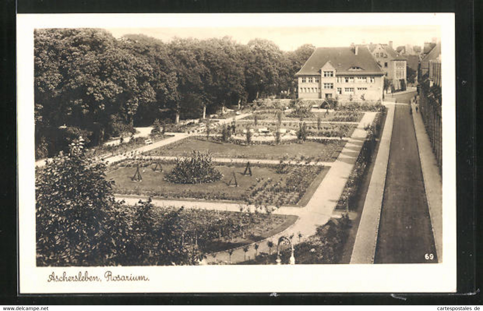 AK Aschersleben, Rosarium Im Sonnenschein - Aschersleben