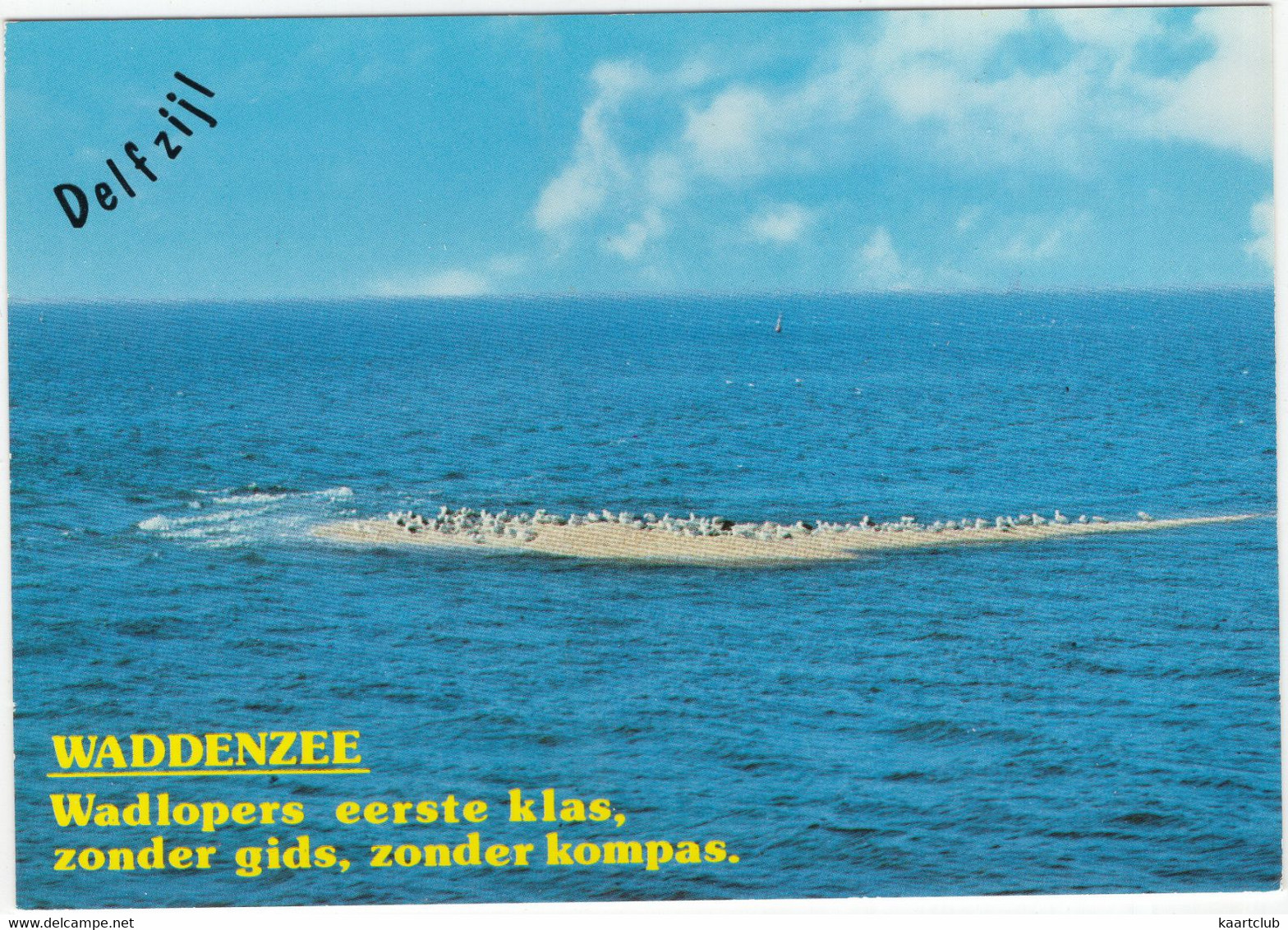 Delfzijl - Waddenzee: 'Wadlopers Eerste Klas, Zonder Gids, Zonder Kompas'  - (Groningen, Holland) - Delfzijl