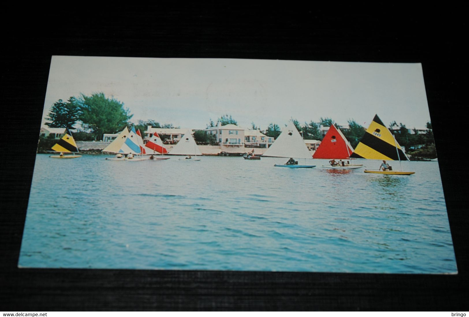 29508-              CUNARD LINE, SAILBOATS AT PAGET, BERMUDA - Bermuda