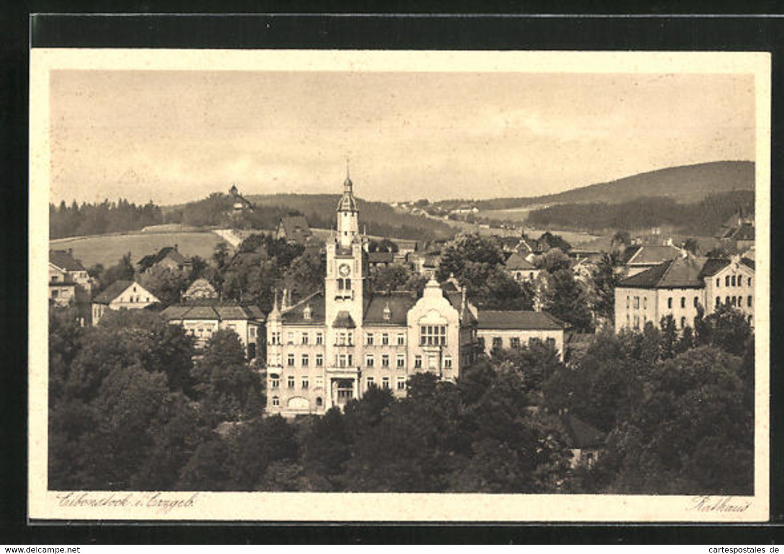 AK Eibenstock / Erzgebirge, Rathaus Aus Der Vogelschau - Eibenstock